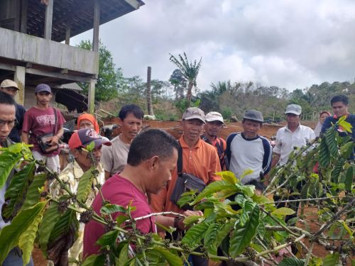 Bank Indonesia Tasikmalaya Dorong Potensi Kopi dan Parawisata Pangandaran